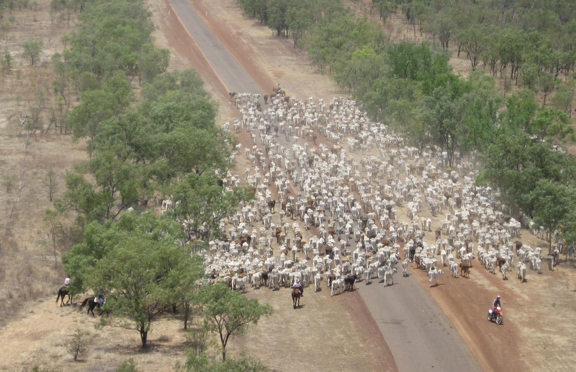 17th. Oxenford family: 1.97 million hectares
